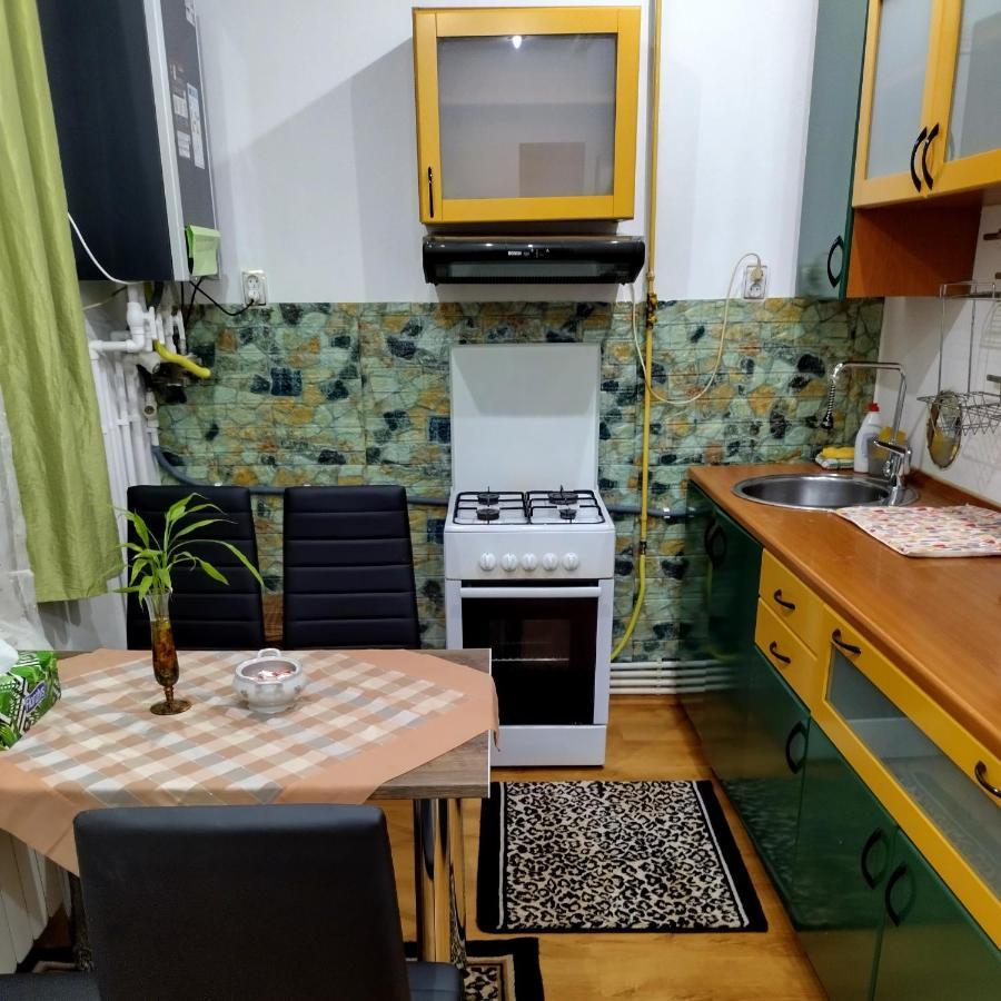 Petroşani Apartament Camelia מראה חיצוני תמונה